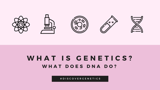 understanding genetics